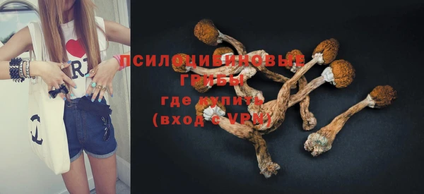 ешки Верея