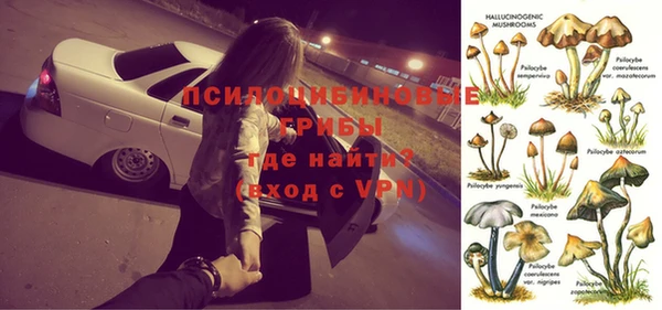 дмт Дмитров