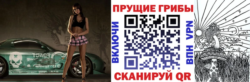 где купить наркоту  Южно-Сахалинск  Псилоцибиновые грибы ЛСД 